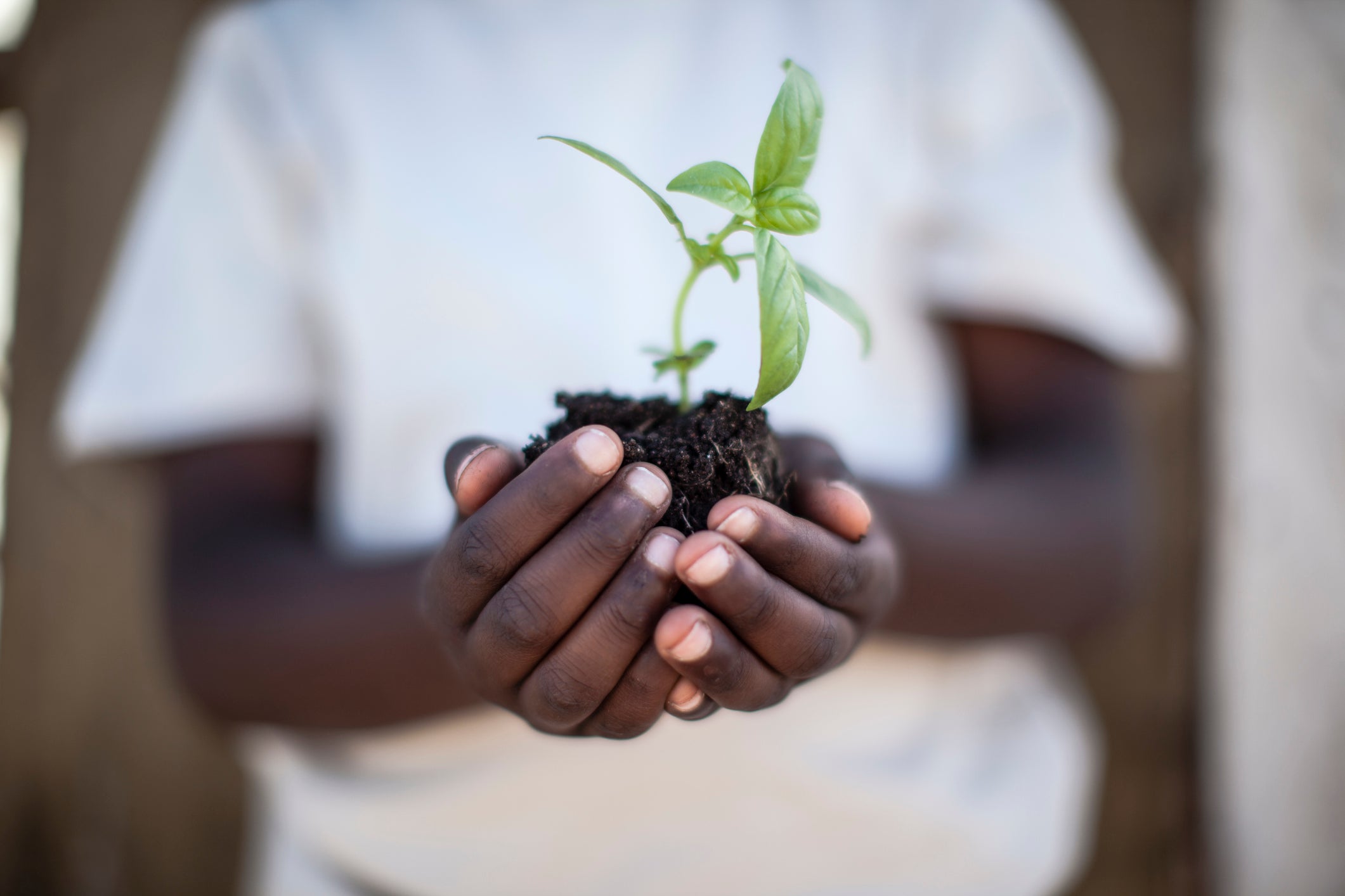 Black History and Sustainability: 4 Black Environmentalists You Need T ...